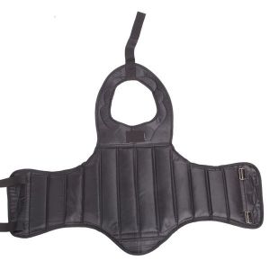 Chest Protector