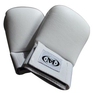 Karate Protective Mitts